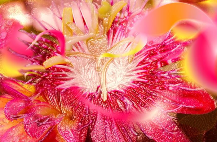 digitalr art photography for sae